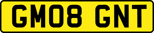 GM08GNT
