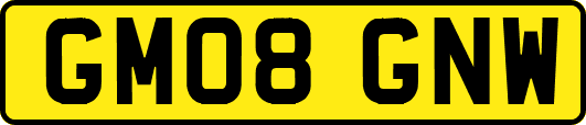 GM08GNW