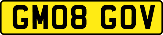 GM08GOV