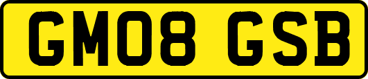 GM08GSB