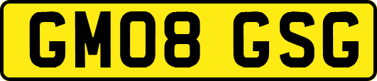 GM08GSG
