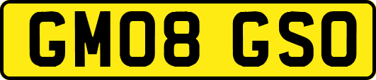 GM08GSO