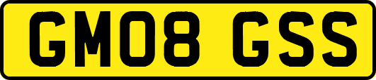 GM08GSS