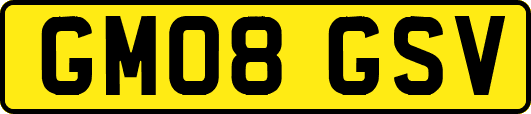 GM08GSV