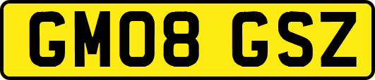 GM08GSZ