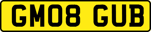 GM08GUB