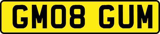 GM08GUM