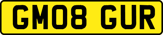 GM08GUR