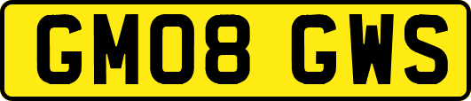 GM08GWS