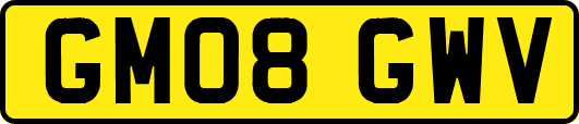 GM08GWV