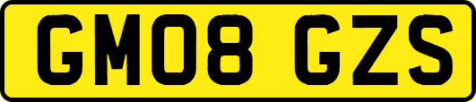 GM08GZS