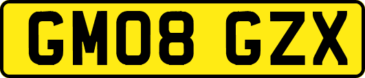 GM08GZX