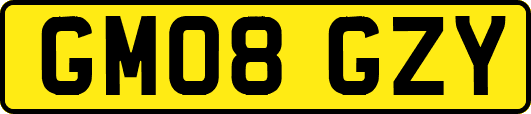GM08GZY