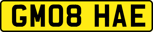 GM08HAE