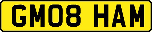 GM08HAM