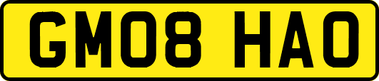 GM08HAO