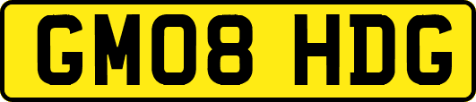 GM08HDG