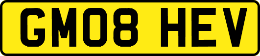 GM08HEV