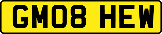 GM08HEW
