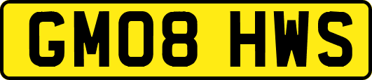 GM08HWS