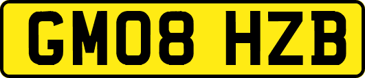 GM08HZB