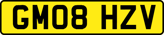GM08HZV
