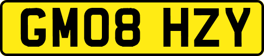 GM08HZY