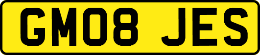 GM08JES