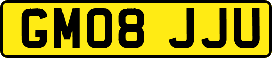 GM08JJU