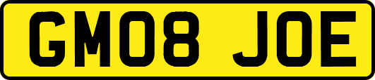 GM08JOE