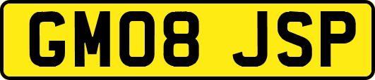GM08JSP