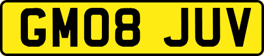 GM08JUV