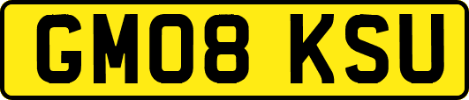 GM08KSU
