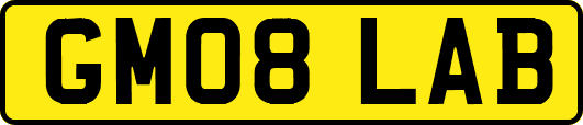 GM08LAB