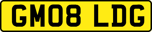 GM08LDG