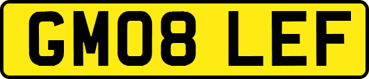 GM08LEF