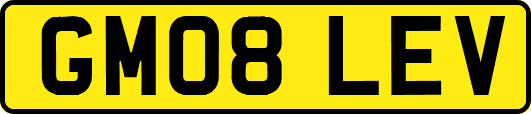 GM08LEV