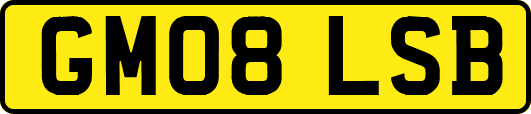 GM08LSB