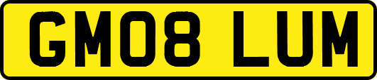 GM08LUM