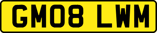 GM08LWM