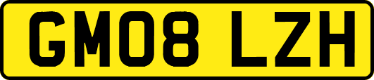 GM08LZH