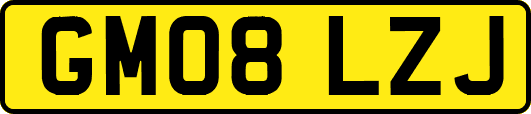 GM08LZJ
