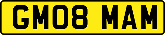 GM08MAM
