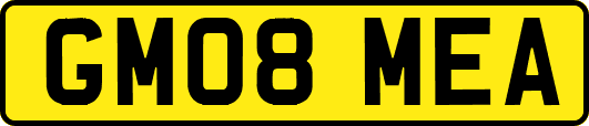 GM08MEA