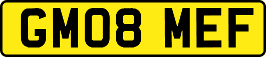 GM08MEF