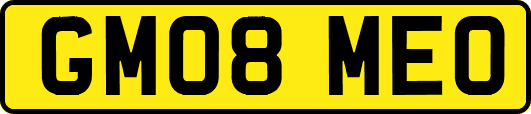 GM08MEO