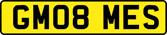 GM08MES