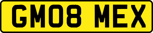 GM08MEX