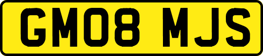 GM08MJS
