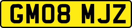 GM08MJZ